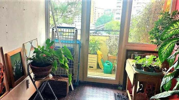 Room With A View